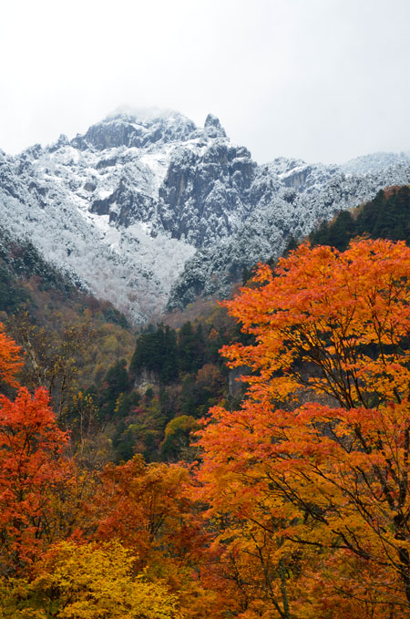 紅葉と雪