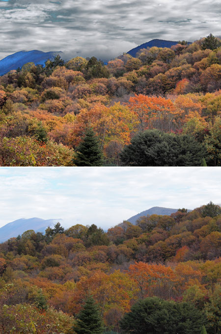 E-PL1の写真をドラマチックトーン風に