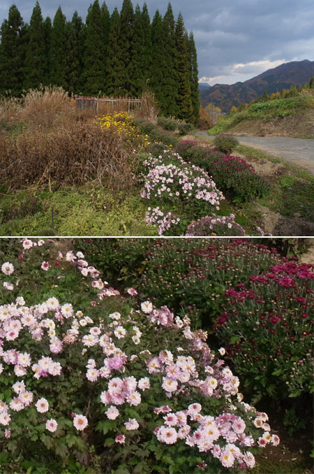 GXR 28mmユニットの解像感