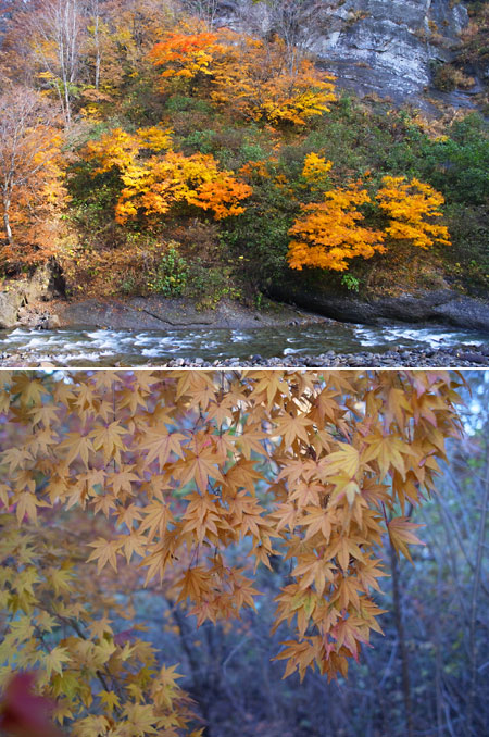 GXR 28mmカメラユニットA12