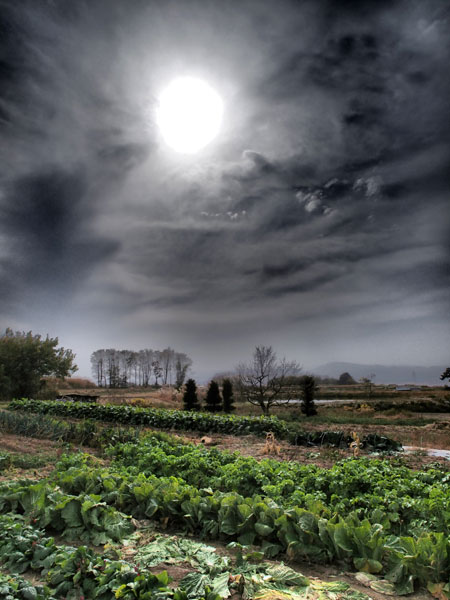 初冬の御牧ヶ原