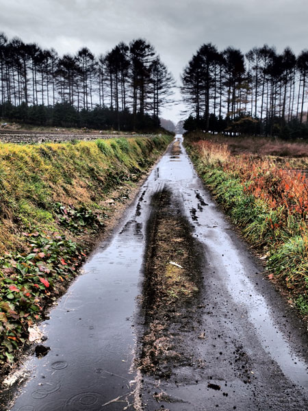 雨の日のドラマチックトーン