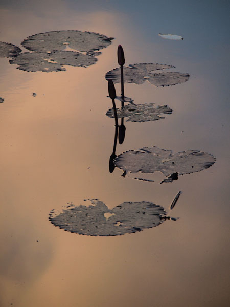 久し振りのフィリピン