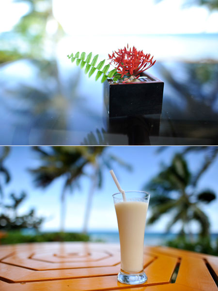 ニッコール24mmF1.4