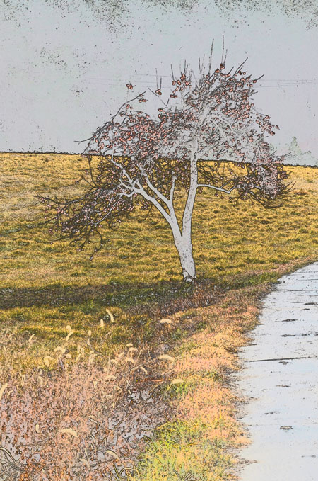 D7000のカラースケッチ