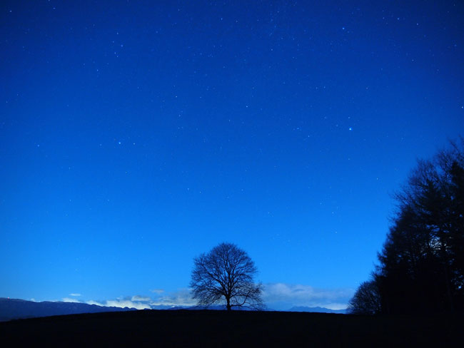 今年一年ありがとうございました