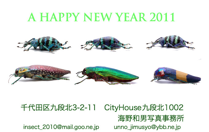 あけましておめでとうございます