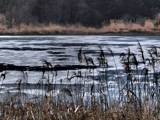 冬のため池