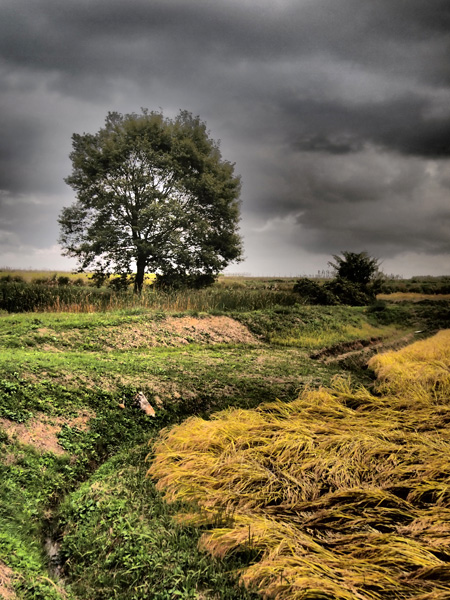 E-PL2　ドラマチックトーン