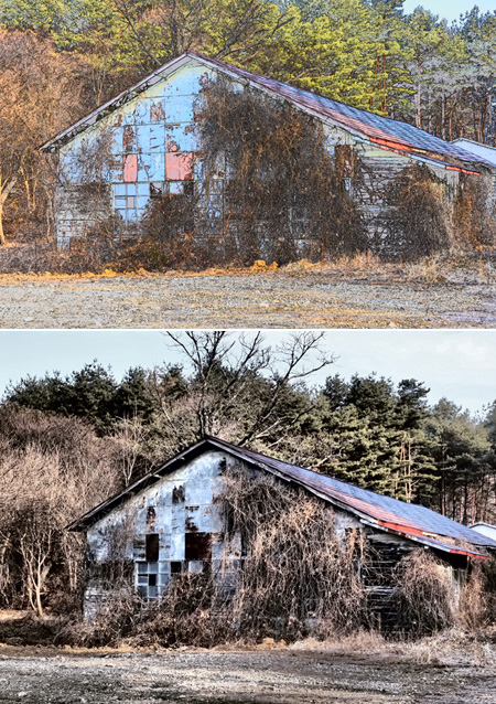 ドラマチックトーンとカラースケッチ
