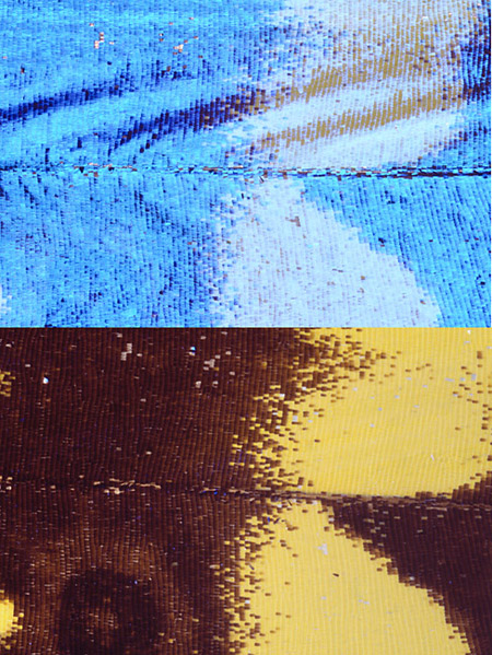 キプリスモルフォの構造色