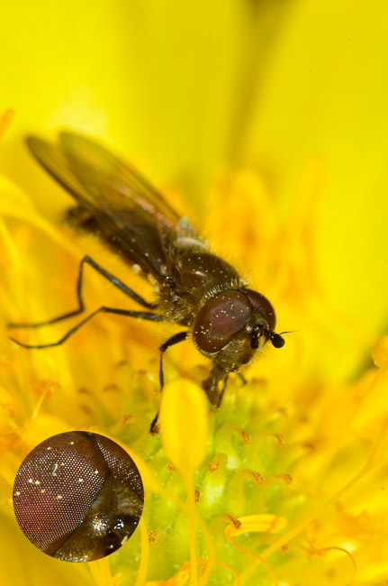 テレコンを使ったマクロ