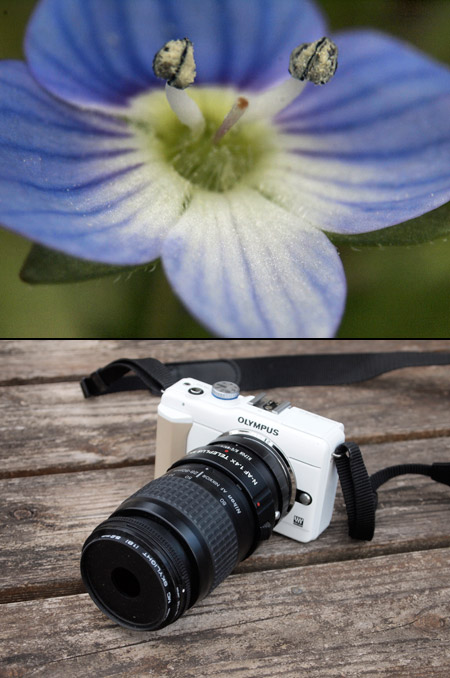 ニコン28―80改造マクロズームをPENに