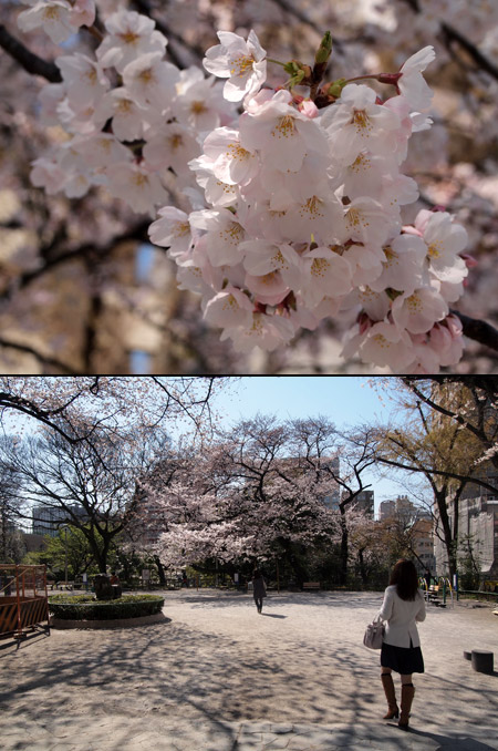 日高先生との本