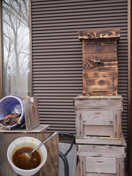 ニホンミツバチの巣箱と腰高君