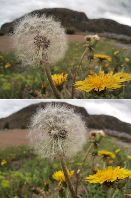 PEN用フィッシュアイコンバーター 「FCON-P01」