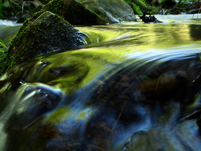新緑を映す渓流