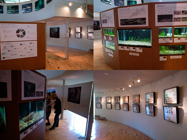  ファーブル保全の森博物館