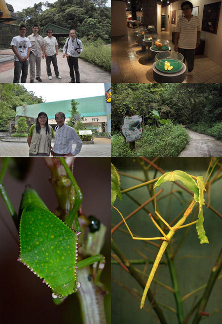 台北市動物園昆虫館へ行く