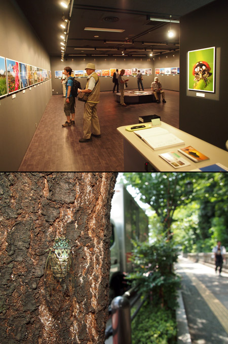 小諸日記写真展は11日まで