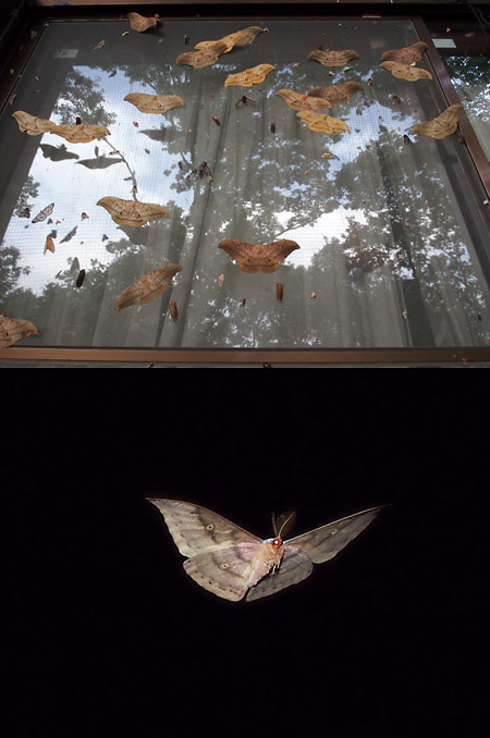 小諸の写真展での募金