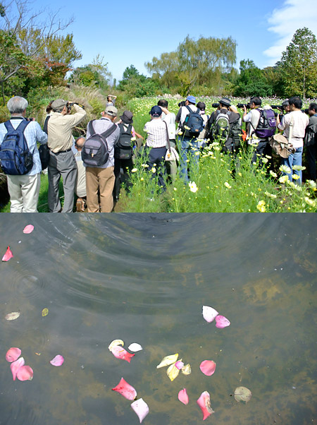 撮影会(NIKON1 V1)