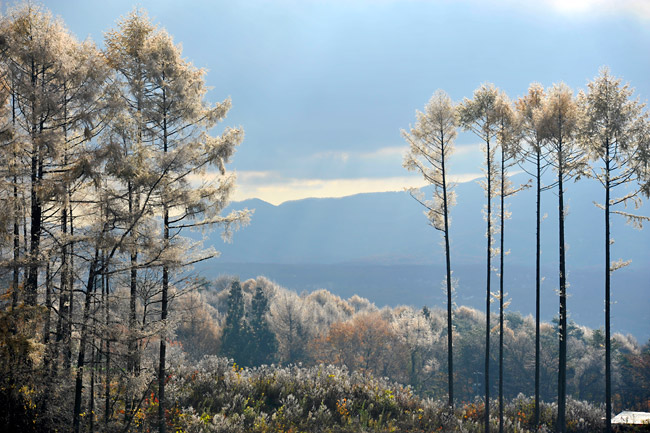 霧氷の出た景色