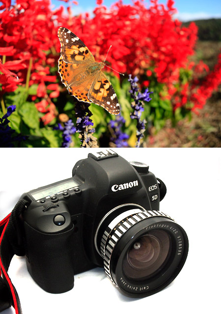 フレクトゴン20mmF4