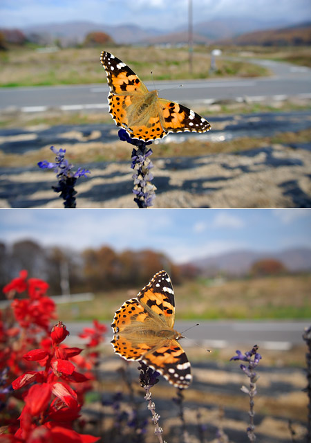 Olympus E-PL3とNikon1 V1 