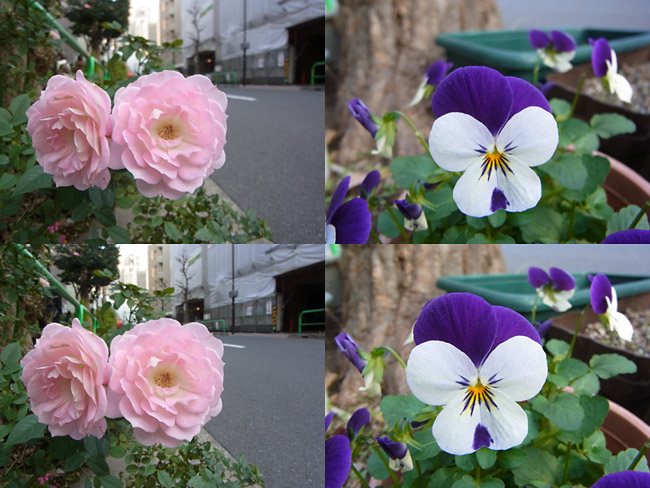 CX6の絞り優先モード