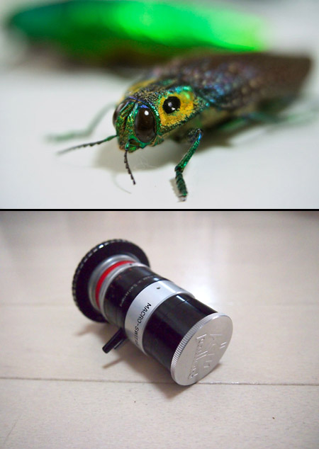 マクロスイターＣマウント