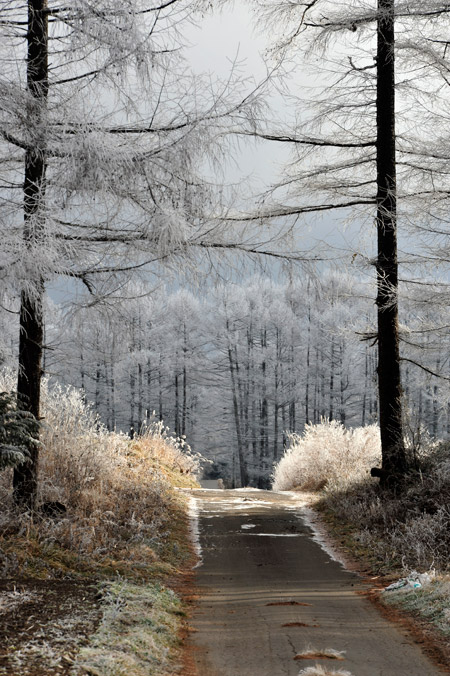 たまにはまともに風景写真を