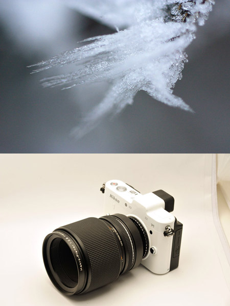 マクロプラナーをニコン１に装着