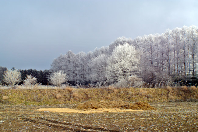 霧氷の出た景色（フレクトゴン20mm）