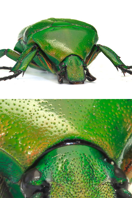 今年も御世話になりました