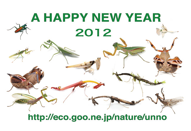 あけましておめでとうございます