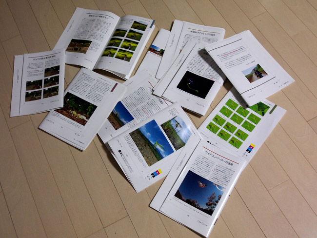 昆虫写真テクニック