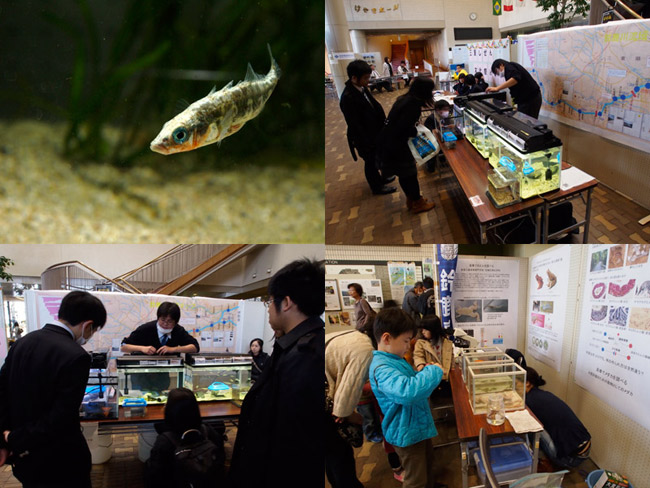 三重しぜん文化祭inすずか