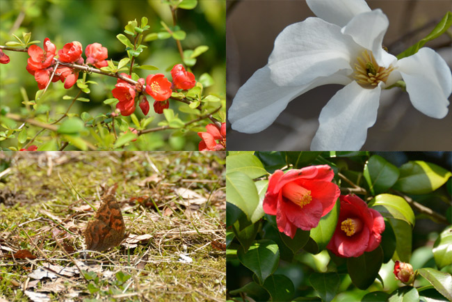 D800の画像を600万画素で切り取る。