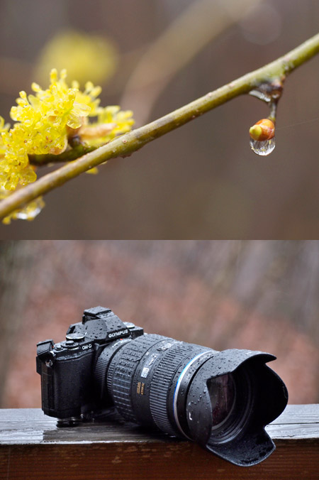 防塵防滴のフォーサーズアダプターとOM-Dの高感度