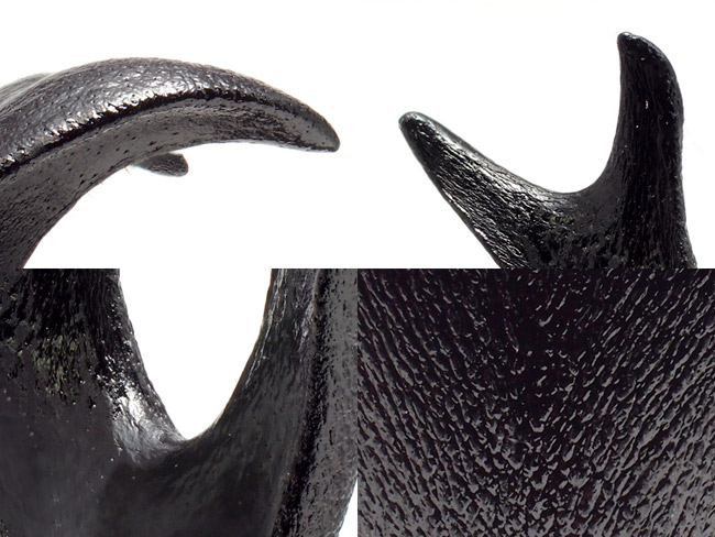 カブトムシの角 