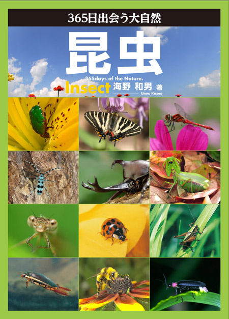 365日出会う大自然　昆虫
