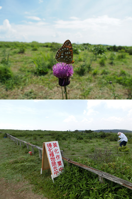 同じ草刈りでも