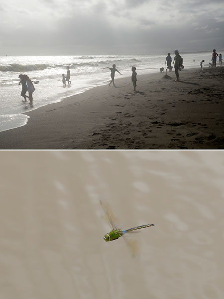 ニコンD600発売間近