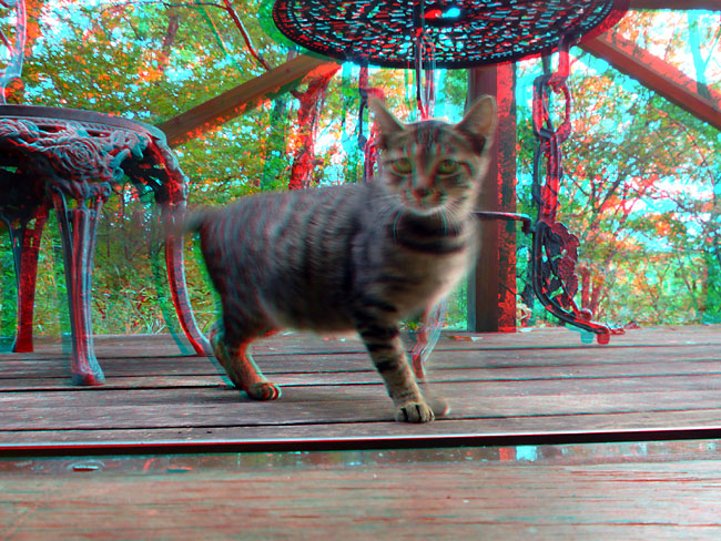 ノラのアナグリフ３D