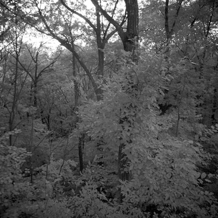 E-5後継機に大きなサイズのセンサーの噂？