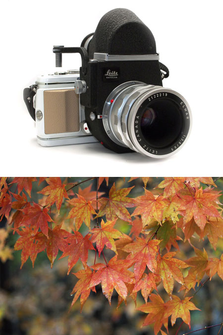 オリンパスE-５後継機？？？