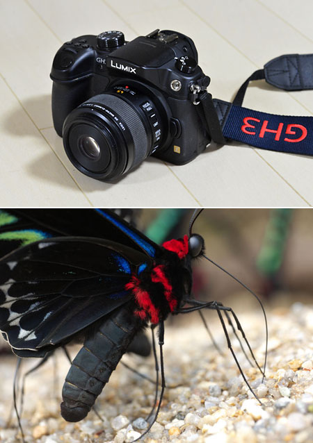 マイクロフォーサーズ用マクロ、 LEICA DG MACRO-ELMARIT 45mm