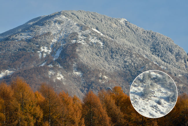 D800の圧倒的解像度