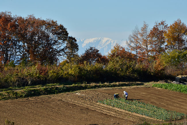 晩秋の小諸